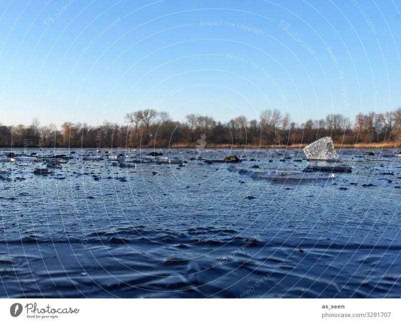 Kalter Tag am See Ausflug Winter Winterurlaub Umwelt Natur Urelemente Luft Wasser Klima Schönes Wetter Eis Frost Baum Seeufer Teich Kreuzteich Riddagshausen