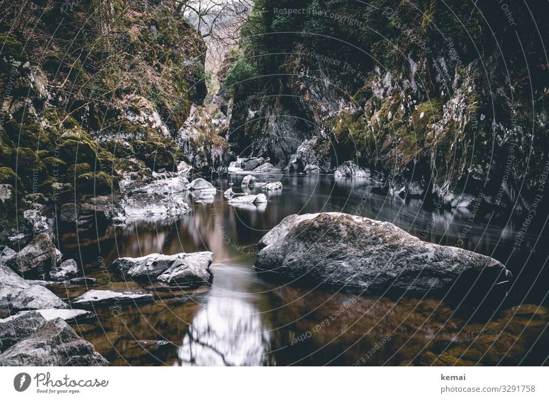 Canyon mit Wasser Schlucht fließen dunkel grau Stein Moos grün Fluss Natur Umwelt Bach Licht Langzeitbelichtung Felsen Bewegungsunschärfe Flussufer nass