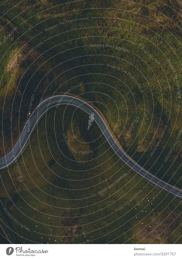 Straße von oben Sonnenlicht grau Umwelt Linie Tag Wege & Pfade Asphalt England Idylle Ruhe Kurve Drohnenaufnahme vogelperspektive grün Straßenverkehr Verkehr