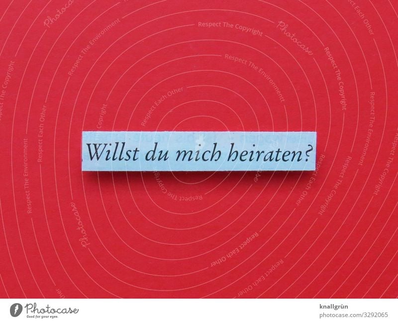 Willst du mich heiraten? Schriftzeichen Schilder & Markierungen Kommunizieren Zusammensein rot weiß Gefühle Glück Lebensfreude Begeisterung Mut Geborgenheit