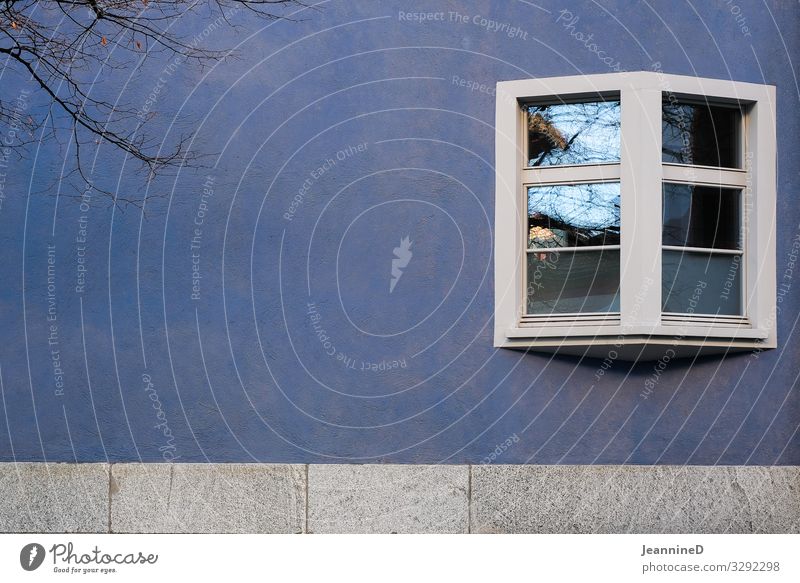 Fenster blaue Wand und kahler Ast Coolness Außenaufnahme Reflexion & Spiegelung Fassade Gebäude blaue wand Farbfoto Architektur ordentlich minimalistisch