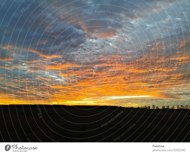 Drama Umwelt Natur Landschaft Pflanze Urelemente Erde Luft Himmel Wolken Wetter Schönes Wetter Baum Wiese Feld Ferne grau orange schwarz dramatisch Wolkendecke