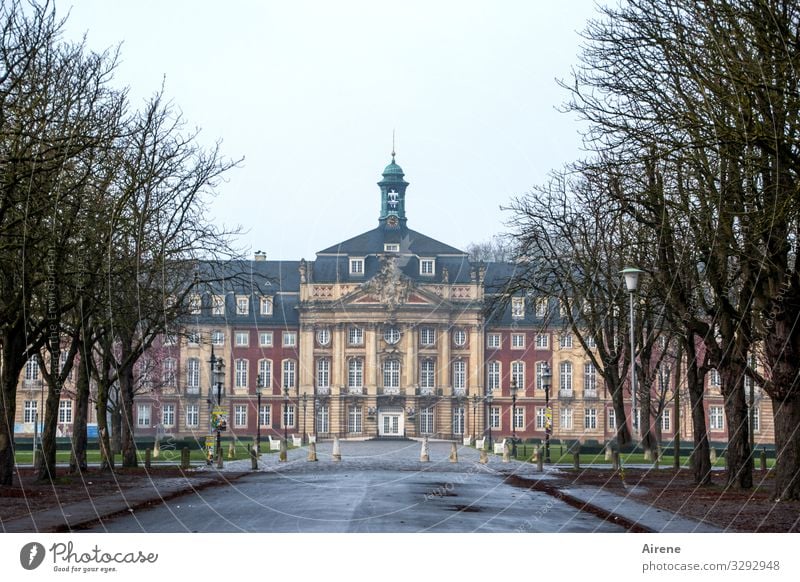 direkter Weg Münster grau schlechtes Wetter Allee Zufahrtsstraße Burg oder Schloss Schlosspark Zentralperspektive Symmetrie Sehenswürdigkeit Fassade Barock Turm