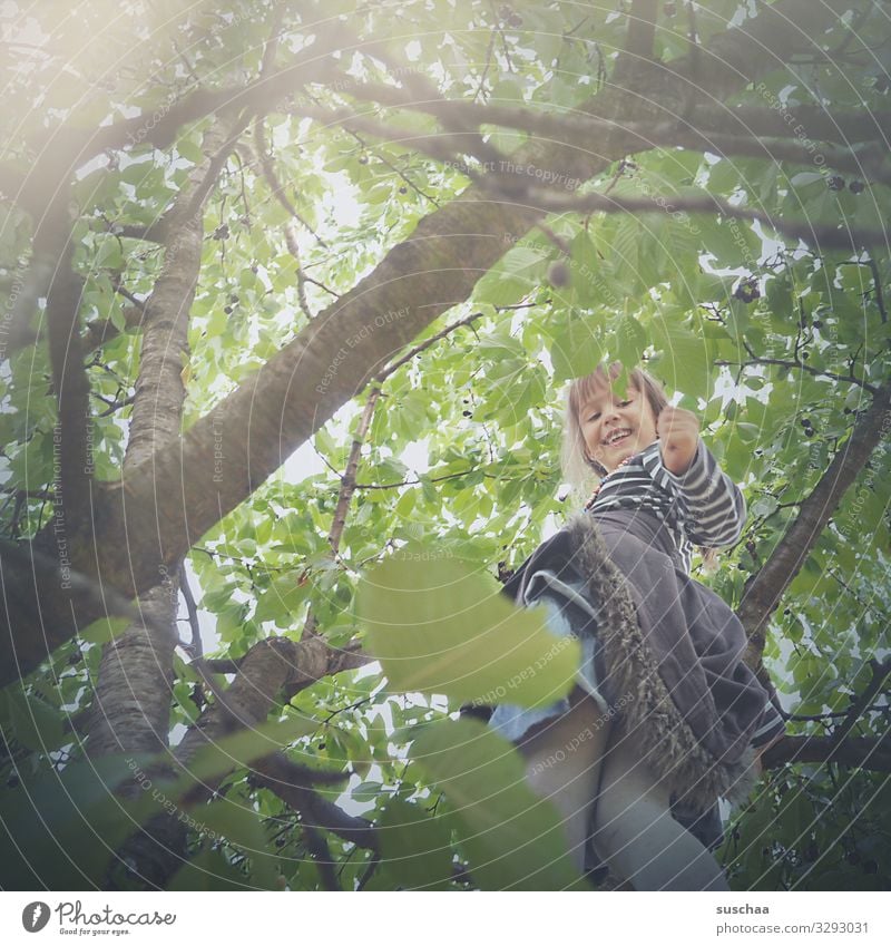 kirschen pflücken Kind Mädchen Baum Kirschbaum Kirsche Kirschen pflücken Sommer Ast Blatt Blätterdach Baumklettern Sonnenlicht Kindheit Ernte Mut Höhenangst