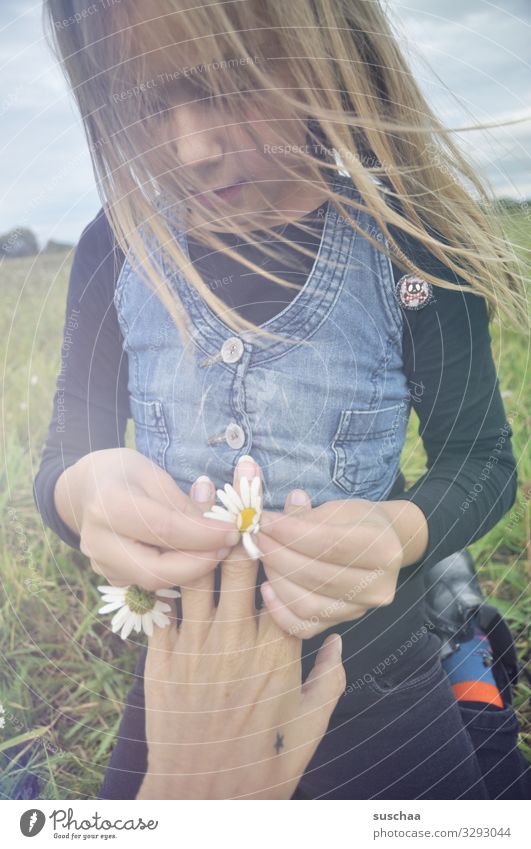 ring aus gänseblümchen .. Kind Mädchen Kindheit Haare & Frisuren Wind Außenaufnahme Blume Blumenwiese Gänseblümchen Margerite Kamille Wiesenblume Hand Finger