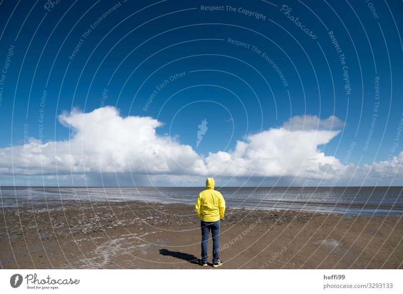 Mann in gelber Regenjacke im Watt vor zwei grossen Regenwolken Symmetrie Regenmantel Strand ebbe und flut Meer Insel Mensch Erwachsene 1 Natur Landschaft Sand