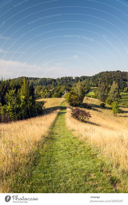 Pfad durch wunderwunderwunderwunderschöne Landschaft Wege & Pfade Trampelpfad Natur Erholung Wiese Ziel wandern Freizeit & Hobby Himmel Sommer