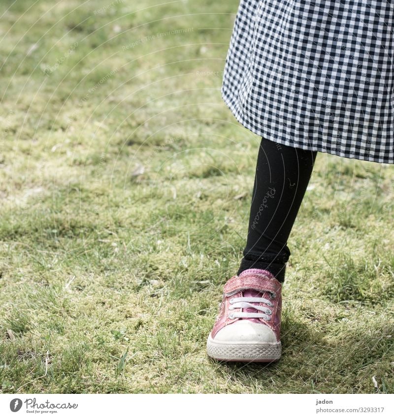 der sinn der socke. Stil Beine Fuß 1 Mensch Natur Gras Wiese Rock Strümpfe Strumpfhose Turnschuh stehen schwarz Zufriedenheit kariert Farbfoto Außenaufnahme