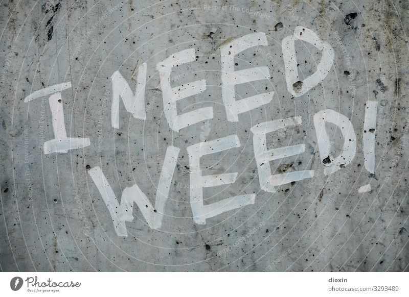 I need weed! Rauschmittel Frankfurt am Main Stadt Stadtzentrum Menschenleer Mauer Wand Beton Schriftzeichen Graffiti trashig Gras Cannabis Abhängigkeit