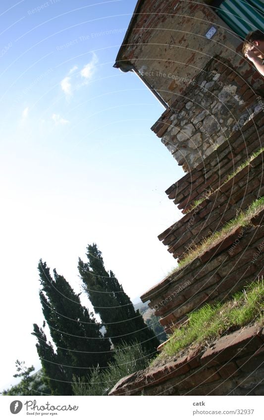 Stufenterasse Gras Baum Italien Toskana Haus Architektur Terasse Himmel Treppe