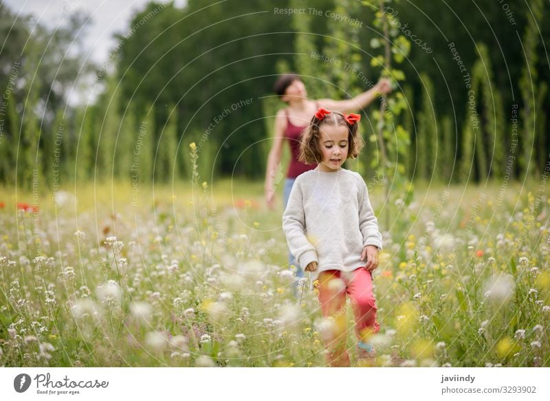 Mutter mit ihrer kleinen Tochter im Mohnfeld Lifestyle Freude Glück schön Spielen Kind Mensch feminin Baby Frau Erwachsene Eltern Familie & Verwandtschaft