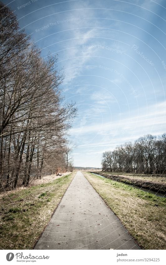 schnurgerade. Natur Landschaft Himmel Baum Feld Verkehrswege Fahrradfahren Wege & Pfade Linie friedlich ruhig Erholung Horizont Allee Baumreihe Fahrradweg