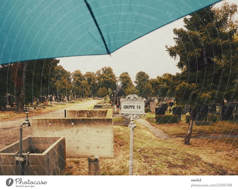 Lux aeterna Umwelt Natur Landschaft Pflanze Himmel Wolken Horizont Schönes Wetter Baum Gras Sträucher Park Zentralfriedhof Wien Grab Wasserhahn Wasserbecken