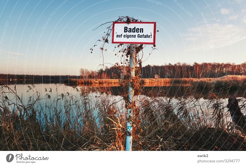 Vertrackt Umwelt Natur Landschaft Pflanze Wasser Himmel Horizont Herbst Schönes Wetter Baum Sträucher Wald See Schriftzeichen Schilder & Markierungen