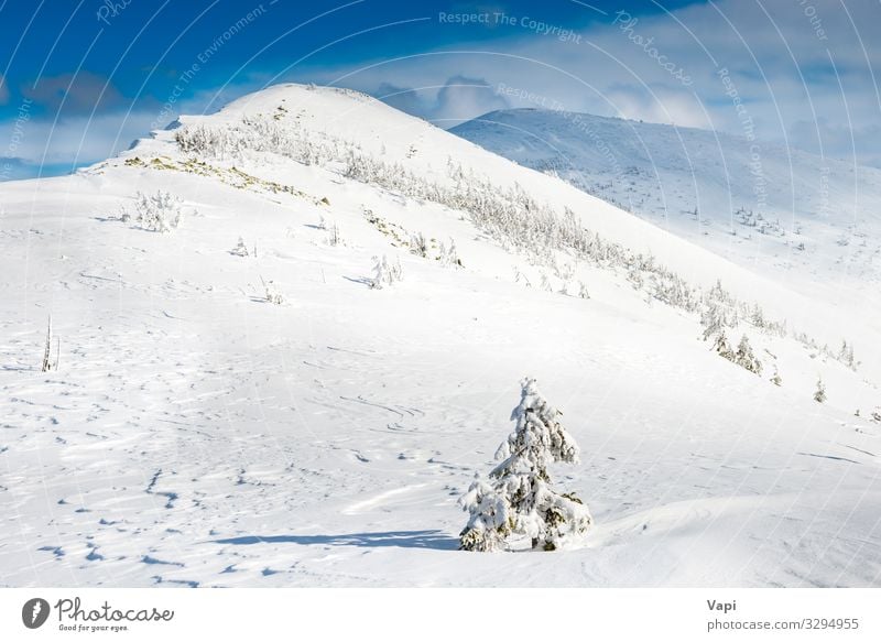 Winterlandschaft in den Bergen schön Ferien & Urlaub & Reisen Sonne Schnee Winterurlaub Berge u. Gebirge wandern Weihnachten & Advent Umwelt Natur Landschaft