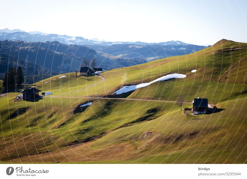 Appenzeller Land unterhalb vom Hochkamm Ferien & Urlaub & Reisen Berge u. Gebirge wandern Landwirtschaft Forstwirtschaft Natur Landschaft Horizont Winter