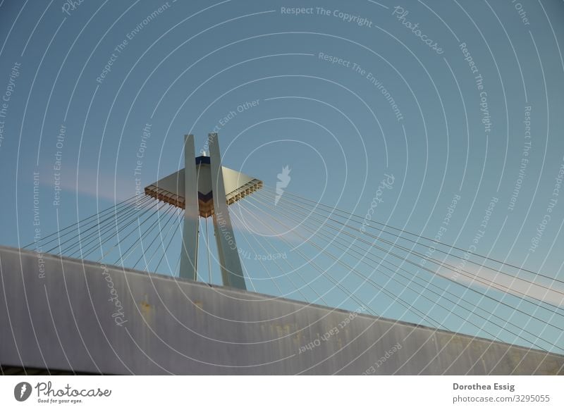 Brückenkopf Ludwigshafen Deutschland Stadt Architektur Hängebrücke Stahlkabel Verkehrswege Straßenverkehr Metall ästhetisch Farbfoto Außenaufnahme Nahaufnahme