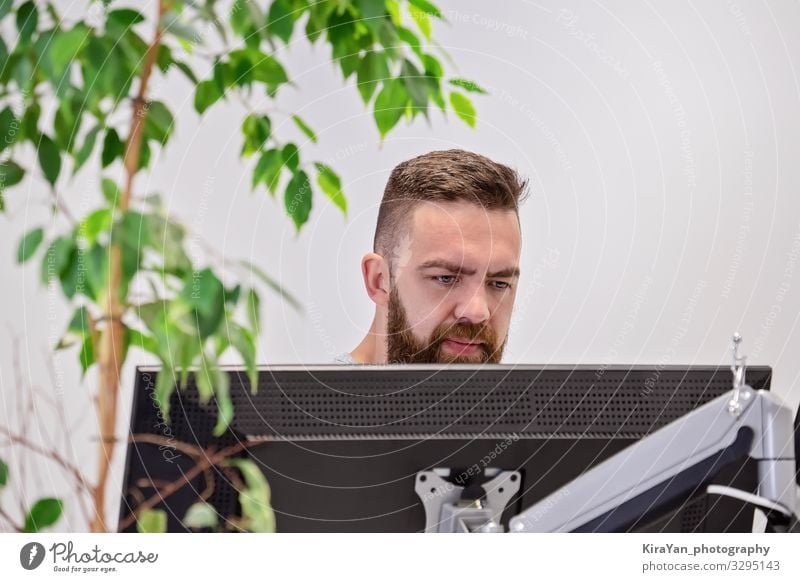 Bärtiger Mann arbeitet hinter Computermonitor in modernen Büro mit Haus natürlichen ficus Lifestyle Design Schreibtisch Tisch Arbeit & Erwerbstätigkeit