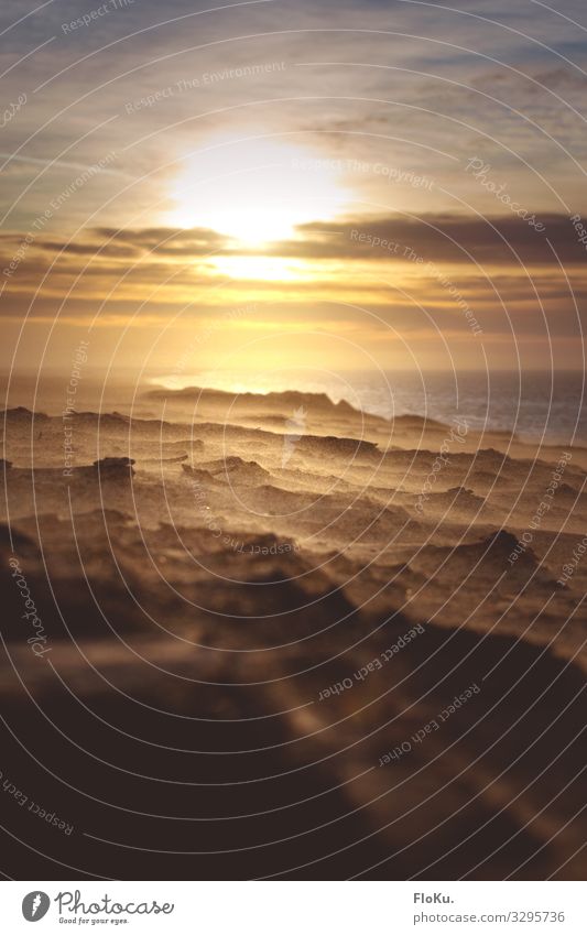 Sandsturm an der Jammerbucht Umwelt Natur Landschaft Urelemente Erde Himmel Sonne Sonnenlicht Klimawandel Wind Dürre Berge u. Gebirge Küste Strand Nordsee Wüste