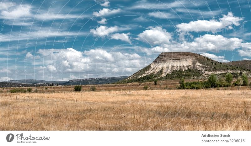 Weitläufiges Feld mit trockenem Gras und Hügeln dahinter Landschaft Natur leer Tal abgelegen blau Himmel Kumulus geräumig Cloud trocknen Horizont malerisch wild