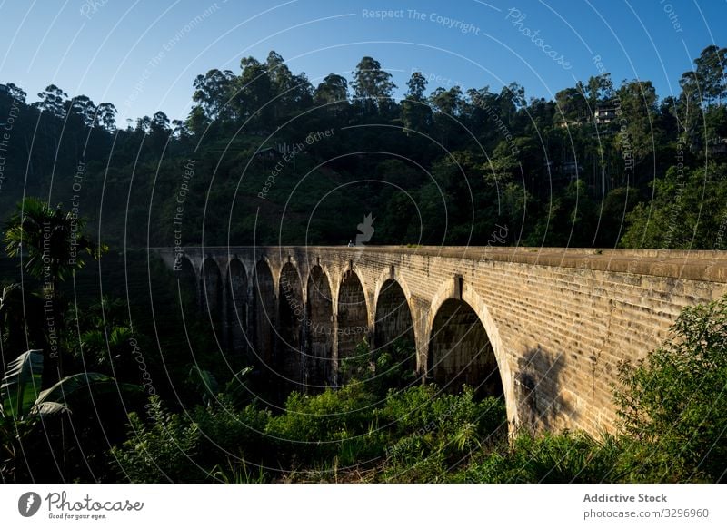 Nachdenkliche Asiatin geht in alter altertümlicher Brücke entlang der Eisenbahn Sri Lanka Frau grün Wald nachdenklich antik asiatisch Brücke mit neun Bögen