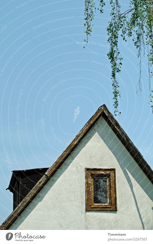 Haus Frankfurt am Main Stadtrand Fenster Dach einfach blau braun grau grün Gefühle Zweige u. Äste Laubbaum Himmel Holz Glas Farbfoto Außenaufnahme Menschenleer