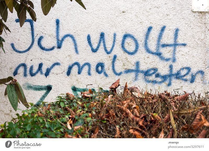 Test | Geschriebenes Herbst Sträucher Mauer Wand Schriftzeichen Graffiti Kommunizieren dreckig trashig Weisheit Versuch Vandalismus Jugendkultur Farbfoto