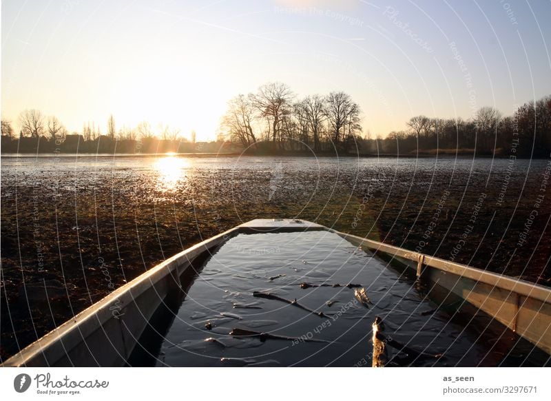 Boot am See im Winter Wasser Eis kalt Frost Außenaufnahme Natur Farbfoto Menschenleer Umwelt gefroren Landschaft Wrack vollgelaufen Tageslicht Sonnenuntergang