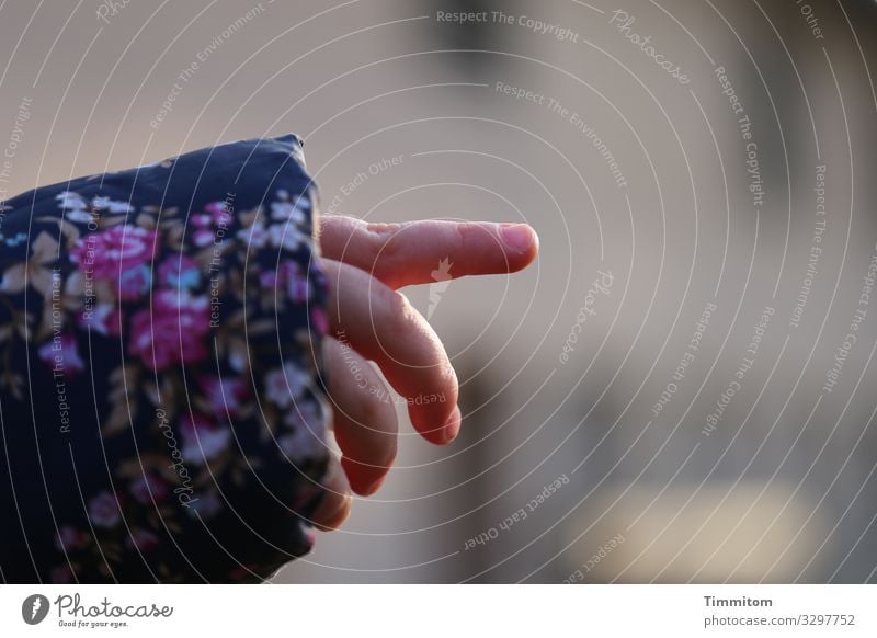 Ein Fingerzeig Ausflug Mensch Kleinkind 1 Jacke niedlich Gefühle Freude Lebensfreude Begeisterung zeigen Hinweis Hand entdecken Kinderhand Farbfoto