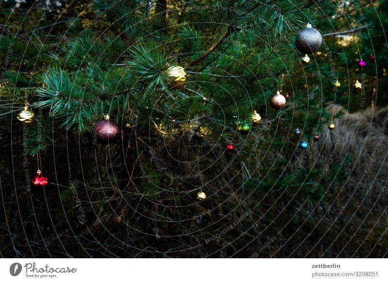 Weihnachtsbaumschmuck Weihnachten & Advent Anti-Weihnachten Baumschmuck Christbaumkugel Dekoration & Verzierung Wald Nadelbaum Kiefer Menschenleer Textfreiraum