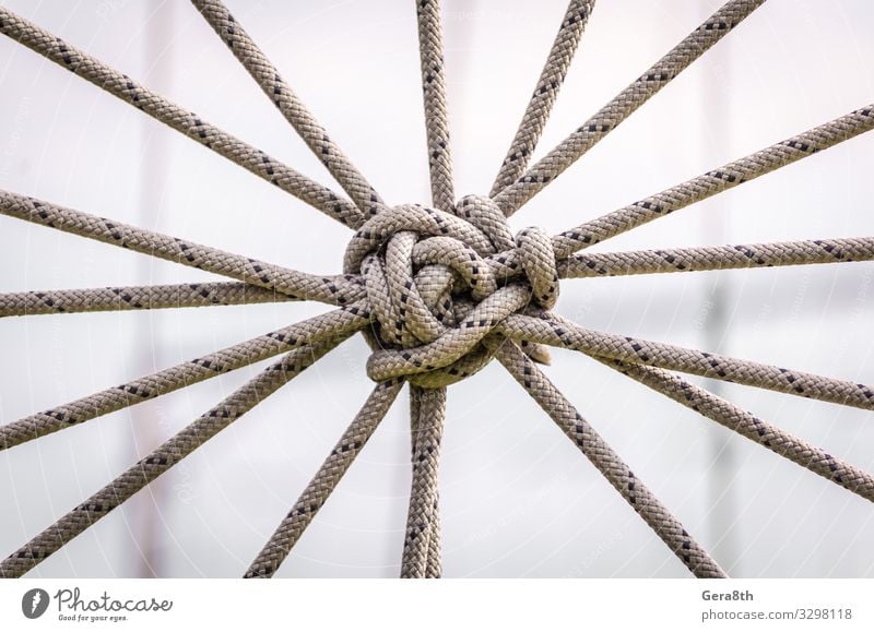 viele Seile und ein großer Knoten aus nächster Nähe Krawatte Linie Kommunizieren Kontakt Zusammenhalt abstrakter Hintergrund Zugehörigkeit Anhang Kabel