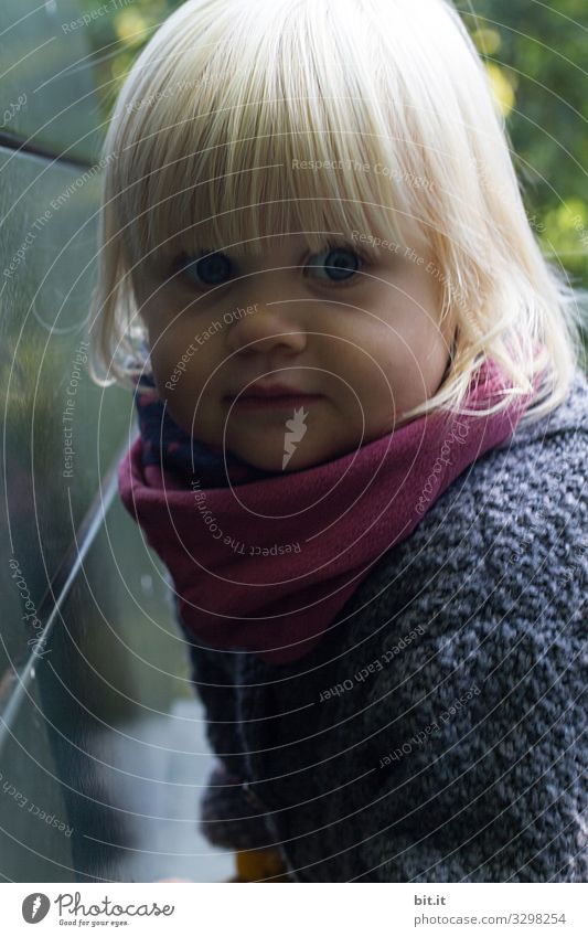 Sitzen, gucken und träumen Kindererziehung Kindergarten Mensch feminin Mädchen Kindheit 1-3 Jahre Kleinkind beobachten Blick frech niedlich Freude Zufriedenheit