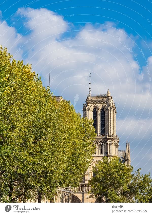 Blick auf die Kathedrale Notre-Dame in Paris, Frankreich Erholung Ferien & Urlaub & Reisen Tourismus Städtereise Haus Wolken Herbst Baum Stadt Hauptstadt