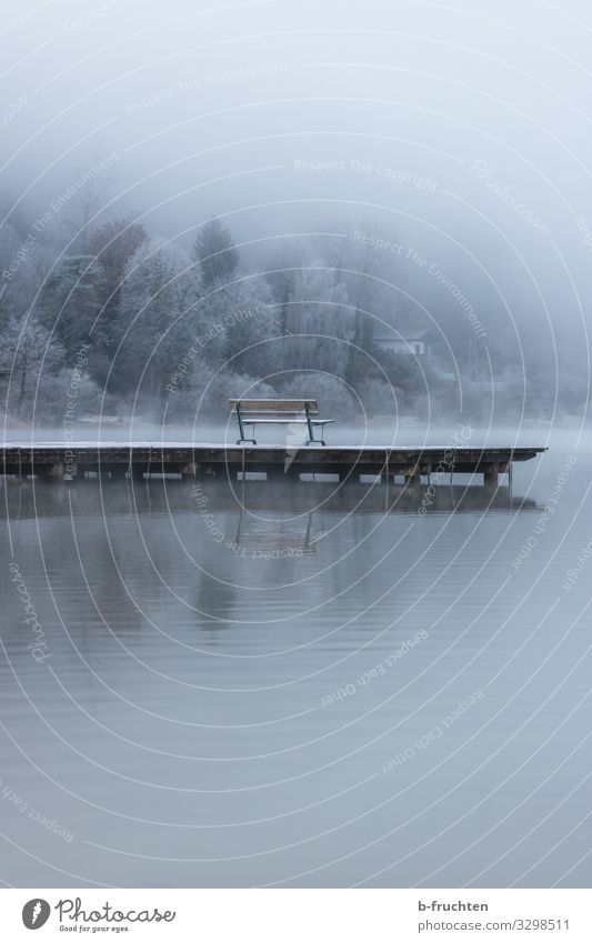 Nebel am See harmonisch Erholung ruhig Meditation Umwelt Natur Landschaft Herbst Winter schlechtes Wetter Eis Frost Seeufer genießen Blick träumen warten