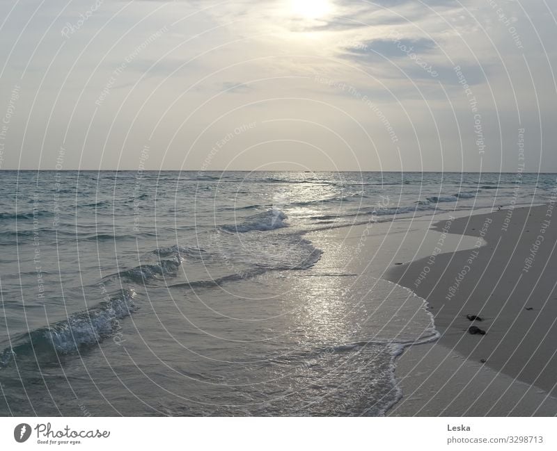 Am Strand 3 Landschaft Wasser Himmel Wolken Sonne Sonnenaufgang Sonnenuntergang Sonnenlicht Wind Wellen Meer ästhetisch blau grau silber Gedeckte Farben