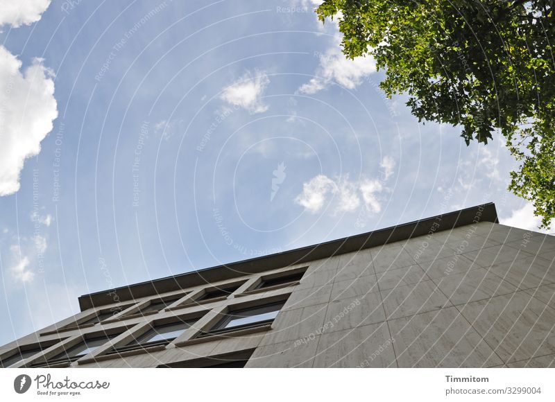 Fassade Himmel Wolken Schönes Wetter Baum Heidelberg Haus Fenster Stein Glas blau grau grün schwarz unpersönlich Farbfoto Außenaufnahme Menschenleer Tag