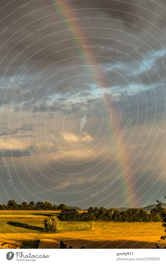 Regenbogen Ausflug Abenteuer Ferne Freiheit Umwelt Natur Landschaft Himmel Wolken Gewitterwolken Horizont Sonnenlicht Klima Schönes Wetter Baum Hügel glänzend