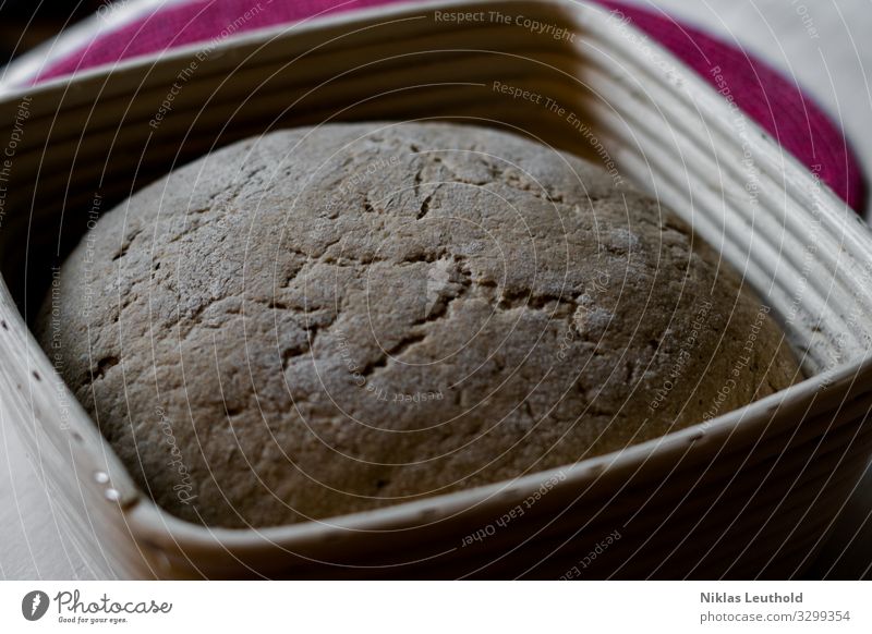 Brotlaib im Gärkörbchen aus Holz Laib gären backen Mehl Risse Bauernbrot Körbchen Teigwaren selbstgemacht Backwaren Essen Ernährung Bäcker Bäckerhandwerk lecker