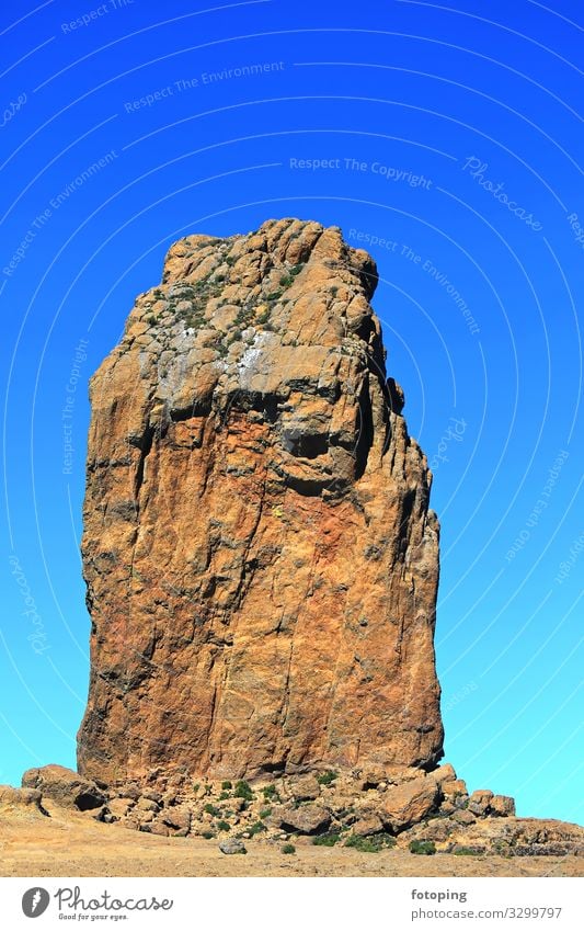 Roque Nublo schön Tourismus Ausflug Sommer Sonne Insel Berge u. Gebirge Natur Landschaft Wetter Wald Felsen Sehenswürdigkeit Wahrzeichen Denkmal außergewöhnlich