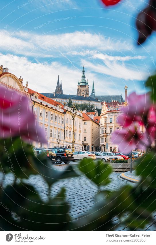 Prag Stadt Hauptstadt blau grün violett orange rosa Kirche Blume Haus Tschechien Wolken Himmel Bauwerk PKW Außenaufnahme Menschenleer Textfreiraum oben