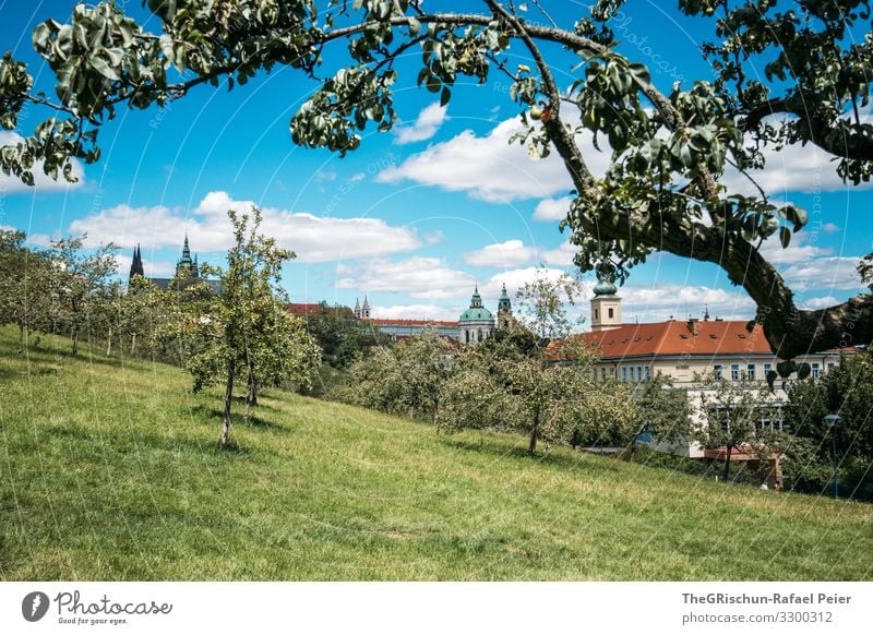 Prag Stadt Hauptstadt blau orange weiß Tschechien Kirche Park Wiese Baum Himmel Wolken Obstbaum Farbfoto Außenaufnahme Menschenleer Tag Licht