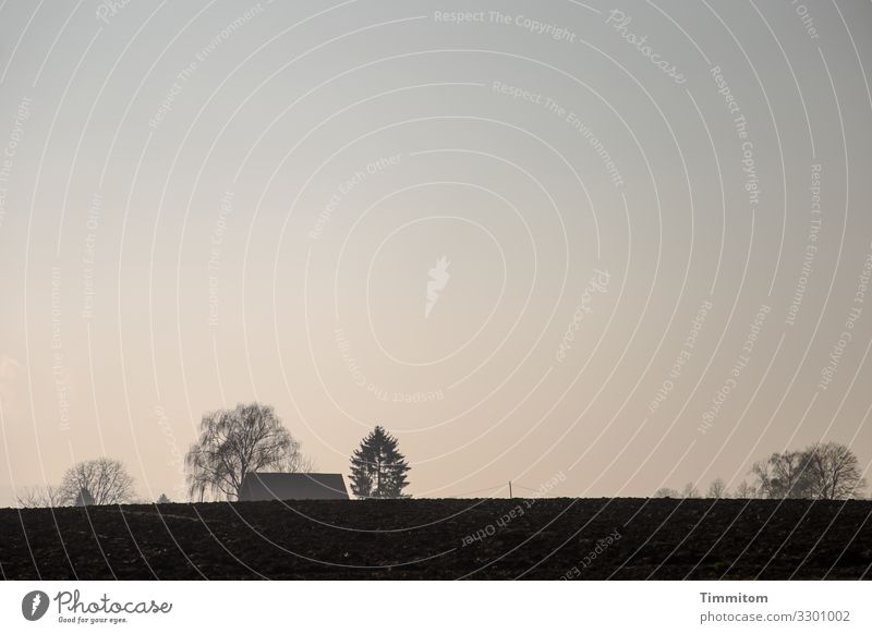 Ländlich Ausflug Landwirtschaft Forstwirtschaft Umwelt Natur Landschaft Pflanze Himmel Sonnenaufgang Sonnenuntergang Winter Baum Wiese Feld Remseck Gebäude