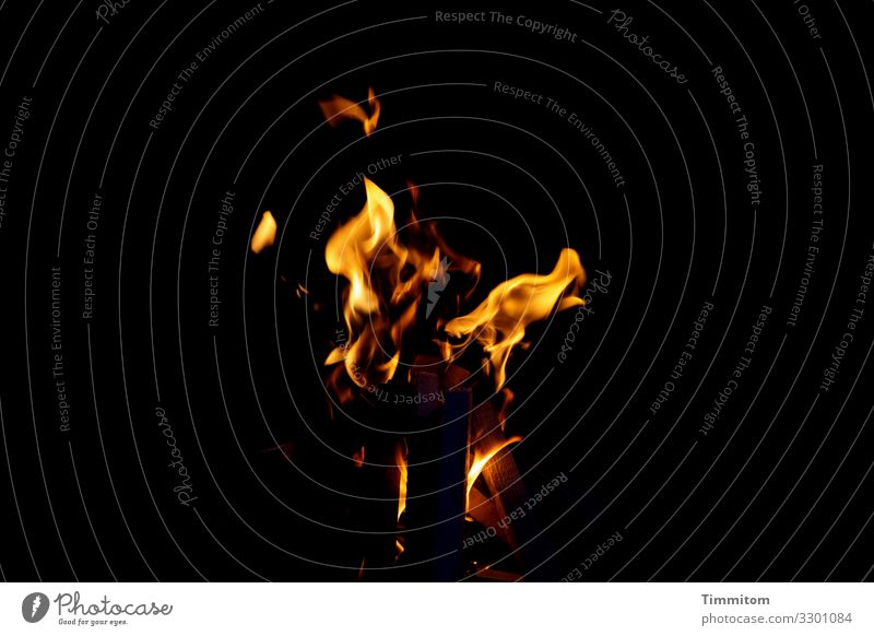 Wärmendes Feuer Feste & Feiern Sankt Martin Feuerschale Holz Stahl dunkel gelb schwarz Gefühle heizen Ritual Religion & Glaube Menschengruppe Flamme Farbfoto