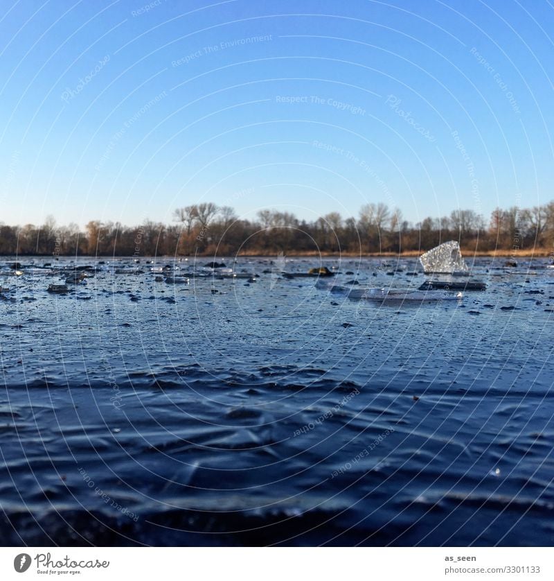 Kalter See Eis Wasser Frost Winter Außenaufnahme gefroren kalt Natur Menschenleer Farbfoto Umwelt Tag Strukturen & Formen Seeufer Himmel Oberfläche Eisfläche