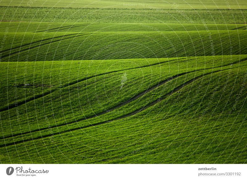 Grünes Feld Landschaft Mecklenburg-Vorpommern Rügen Ferien & Urlaub & Reisen Landwirtschaft wintergerste winterweizen Aussaat grün Weide Wellen Beule Hügel