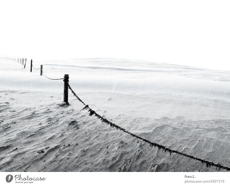 Sand Ferien & Urlaub & Reisen Tourismus Ausflug Strand Meer Winter Wind Ostsee Polen schön Einsamkeit Menschenleer Düne Nationalpark Naturschutzgebiet