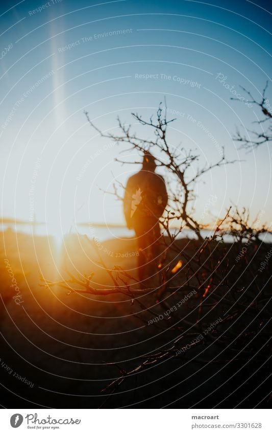 Mann in Abendsonne Silhouette Mensch schwarz gehen Menschenleer Einsamkeit Unbewohnt Abenddämmerung Meer landschaft sonnenaufgang Sonne See Sommer orange rot