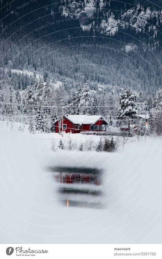 Haus am See Schneelandschaft Norwegen Skandinavien Norweger Berge u. Gebirge Landschaft Natur Himmel Winter Dorf Wald Aussehen Gras Neuschnee