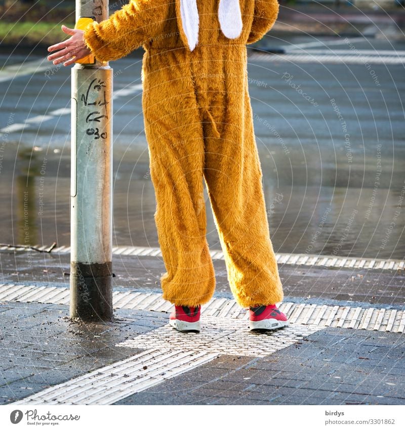 Mensch im Hasenkostüm betätigt Ampelanlage fußgängerampel Freude Feste & Feiern Karneval Straßenkarneval Karnevalist maskulin Junger Mann Jugendliche 1