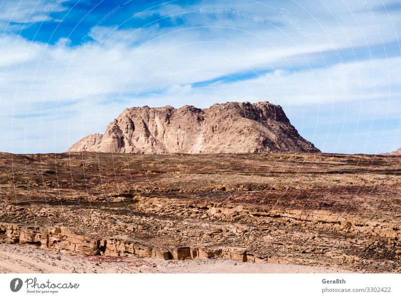 hoher Berg in der Wüste in Ägypten exotisch Ferien & Urlaub & Reisen Tourismus Sommer Berge u. Gebirge Natur Landschaft Wärme Felsen Stein hell Farbe Dahab